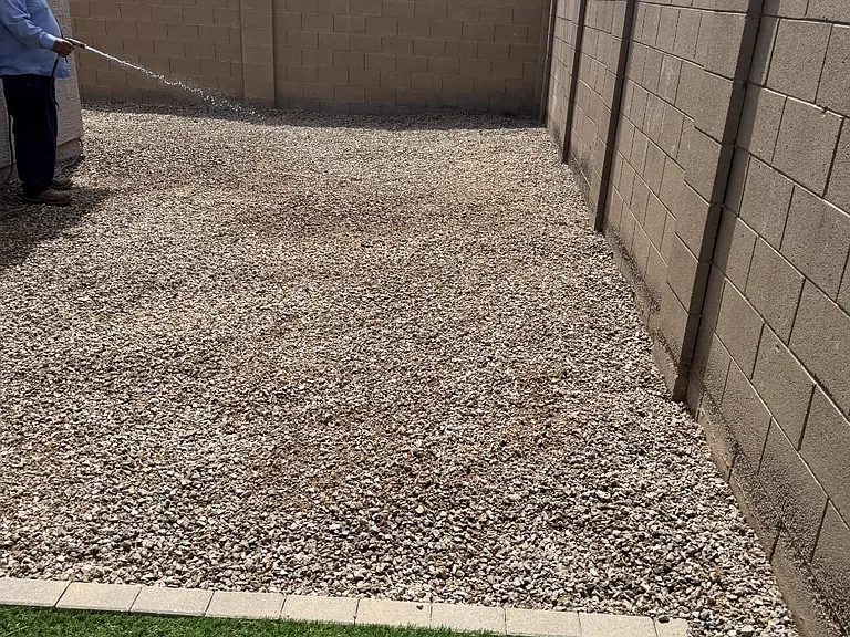 easy care landscaping