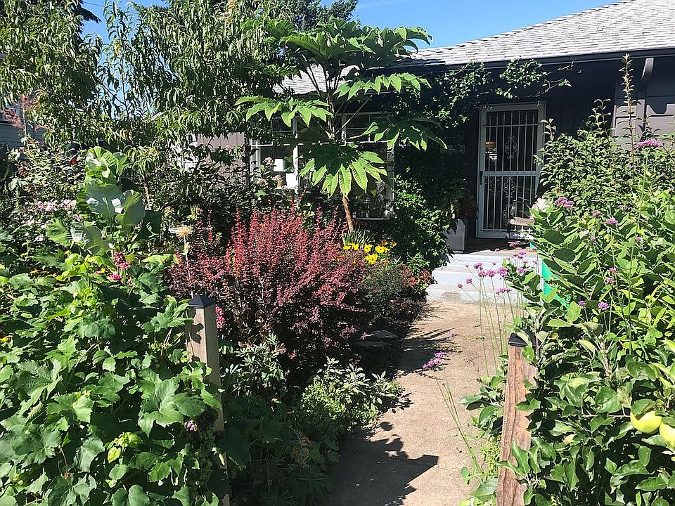 Front garden and porch
