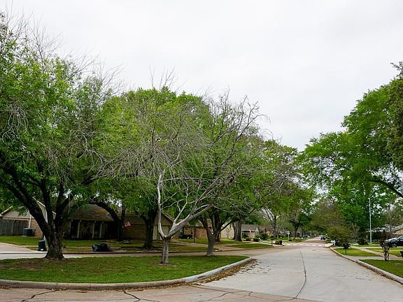 5th image of 515 Concordia Dr