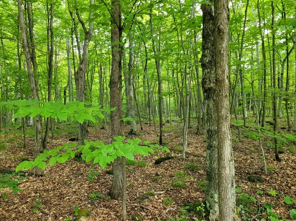 E Door Bluff Rd, Ellison Bay, WI 54210