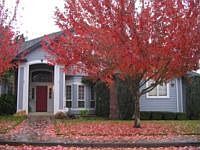 1st image of 2710 NE 136th St