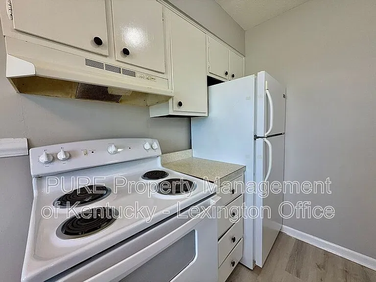 1517 Steadmantown Ln #1-4 — Photo 8