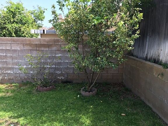 Back yard
