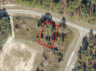 LOT 11 SW 144th Street Rd LOT 11, Ocala, FL 34473