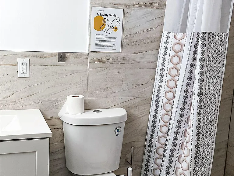 Basement bathroom 1