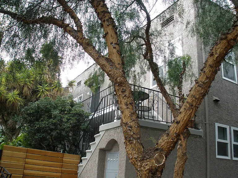 2035 1/4 N Vista Del Mar Ave — Photo 1
