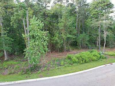 6075 Ocean Isle Palms Way SW LOT 161, Shallotte, NC, 28470
