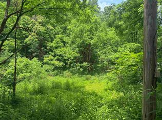 2 Jesses Run Rd, Fairview, WV 26570