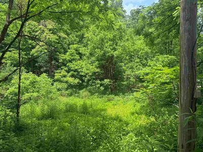 LOT 2A Jesses Run Rd, Fairview, WV, 26570