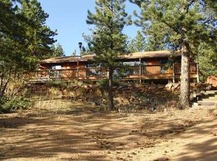 111 Bandit Ln, Bailey, CO 80421