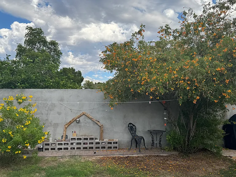 4040 W Tonopah Dr — Photo 9