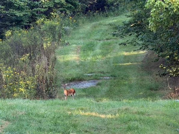 Caney Valley Rd Lot Wp001, Bristol, VA 24202