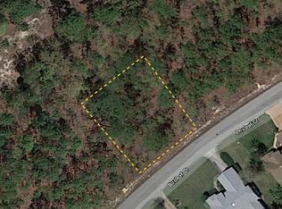 12 Boxleaf Ct, Homosassa, FL 34446