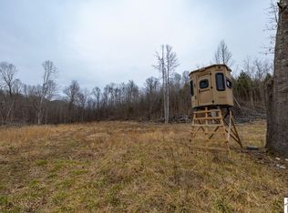 0 Us Highway 60 E, Salem, KY 42078