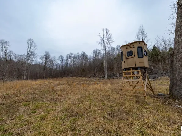 0 Us Highway 60 E, Salem, KY 42078