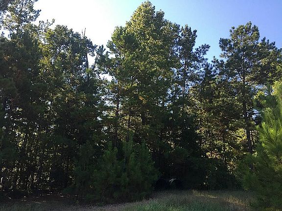 4th image of 9009 Legacy Creek Ct