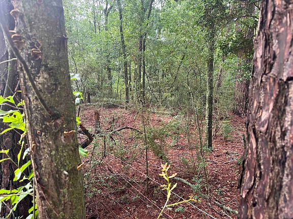 5th image of 0 Cool Springs Rd