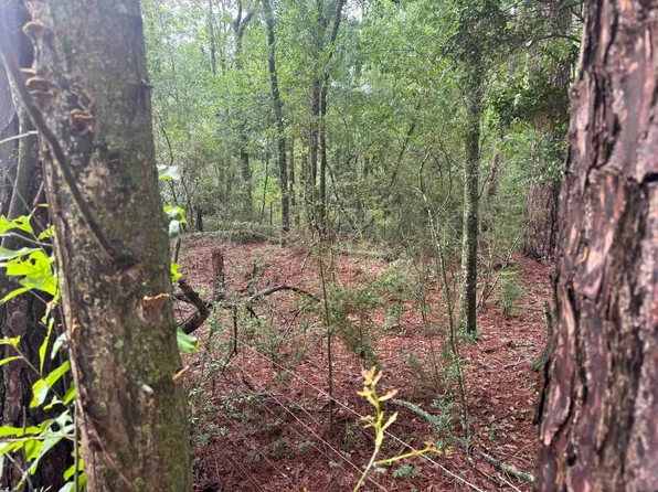 0 Cool Springs Rd, Opp, AL 36467