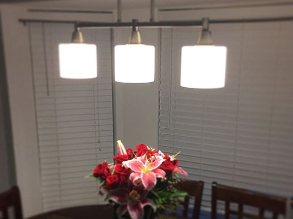 Dining (Bay Window)