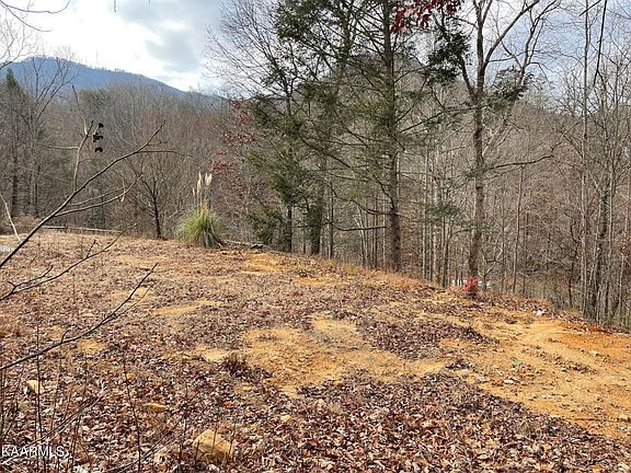 5th image of 856 Seaton Ln