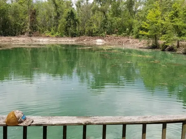 In Palmetto, Palmetto, LA 71358