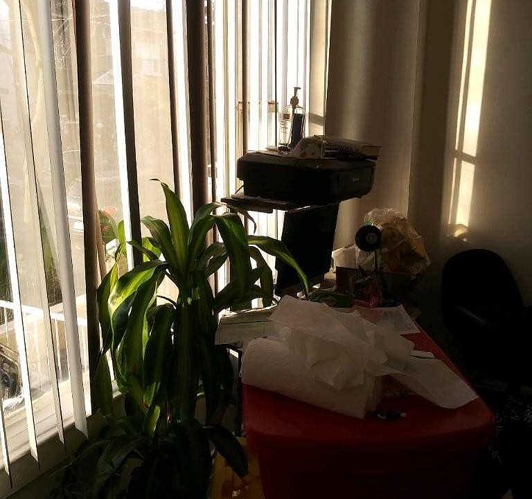 2nd image of 2583 99th St