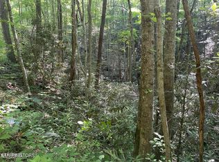 LOT 76 Sycamore St, Sevierville, TN 37876