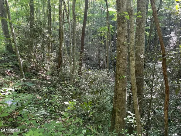 LOT 76 Sycamore St, Sevierville, TN 37876