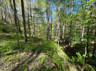 0 Silvermine Rd, Bryson City, NC 28713