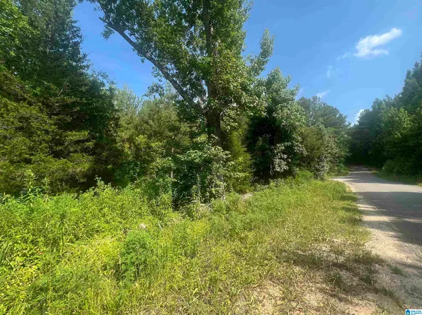 0 Mat Moore Rd #0, Lawley, AL 36793