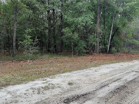 LOT 5 SW 36th Loop, Dunnellon, FL 34432 | MLS #834006 | Zillow