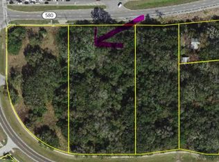 Philippe Pkwy LOT 400, Safety Harbor, FL 34695