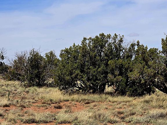 3rd image of 5438 County Line Rd