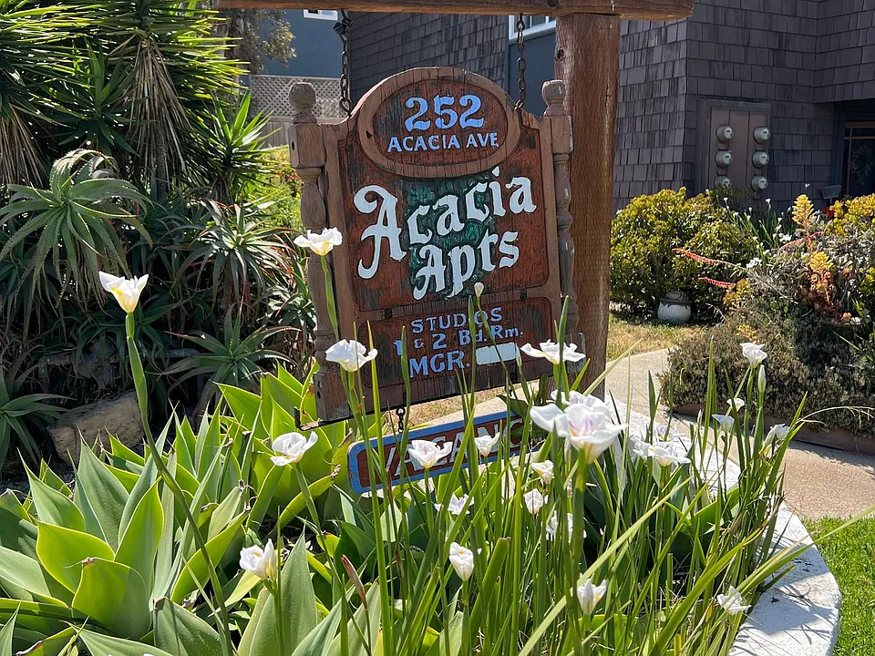 Sea Chase (Acacia Avenue)