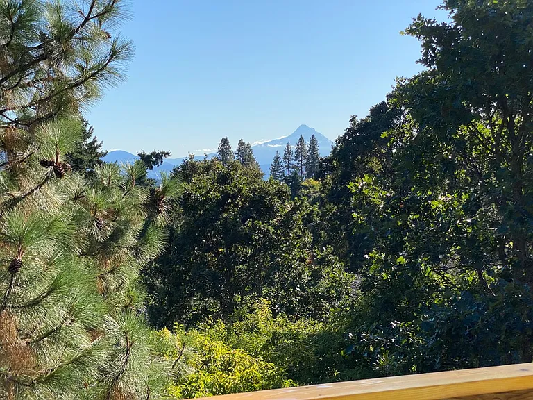 29 Annie Ln — Photo 9