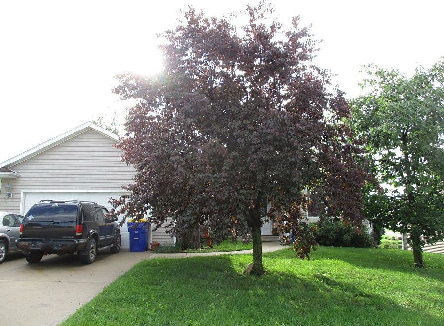 1st image of 606 Ponds Ct