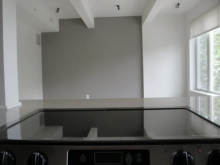 430 Shady Avenue — Photo 4