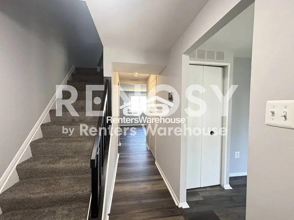 6585 Sweet Fern