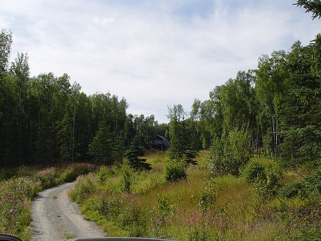 Looking up driveway