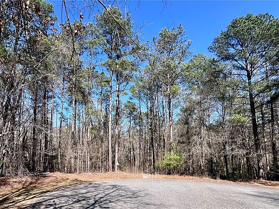 2nd image of 0 Golden Hickory Drive