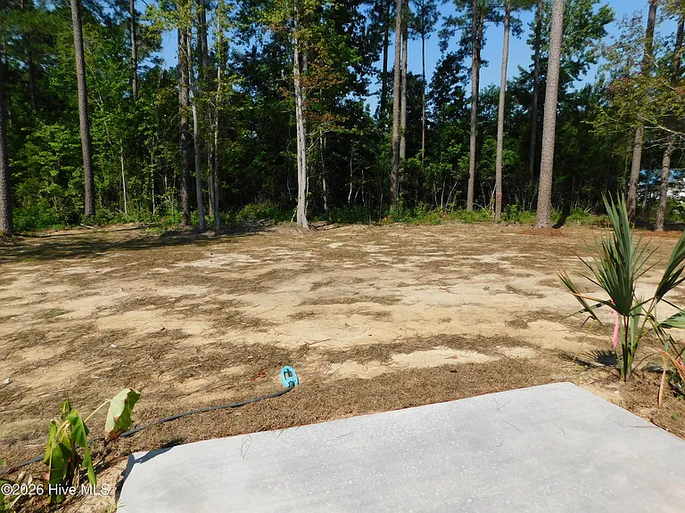 100 Palm Cir — Photo 15