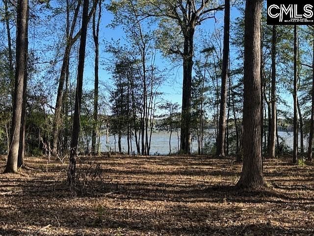 2nd image of 0 Fannie Black Rd