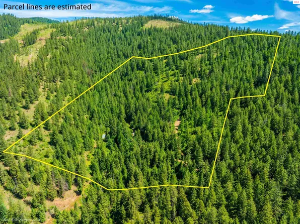 1148 Ridge Top Rd, Blanchard, ID 83804