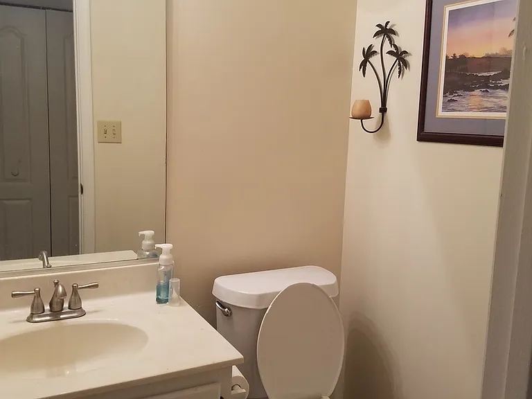 1001 Shoal Creek Trl — Photo 8