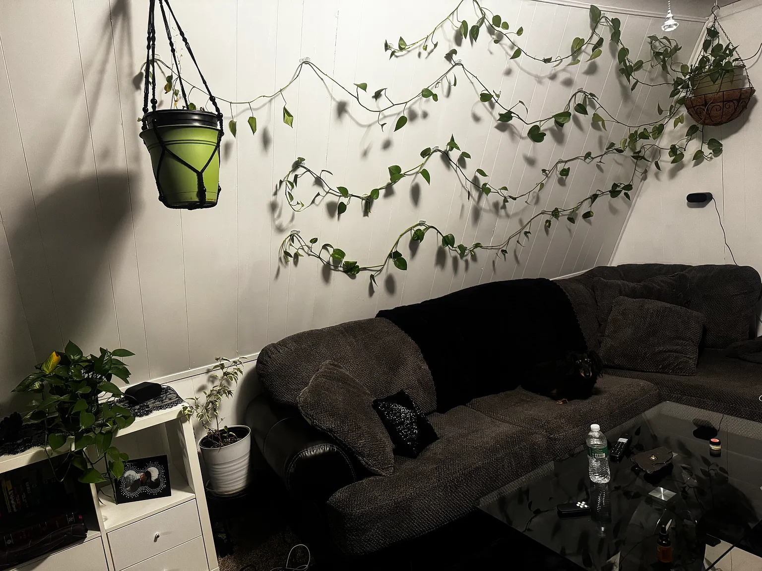 2 bed, 950 sqft, $1,200 — Photo 4