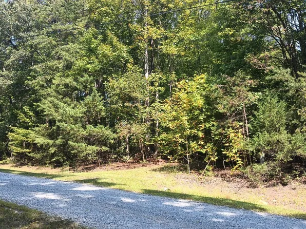 0 Piney Mountain Ln #22, Shipman, VA 22971