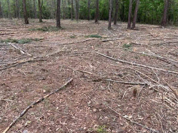 7 San Bonita Blvd Unit 1, Havana, FL 32333