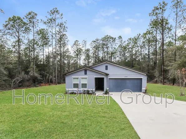 10908 N Dragonis Dr, Citrus Springs, FL 34433
