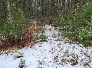 W8835 Blue Bird Dr, Merrillan, WI 54754