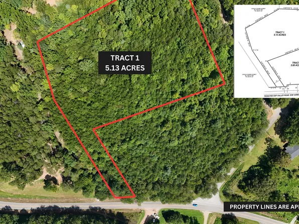 TRACT 1 Tesnatee Gap Valley Rd, Cleveland, GA 30528
